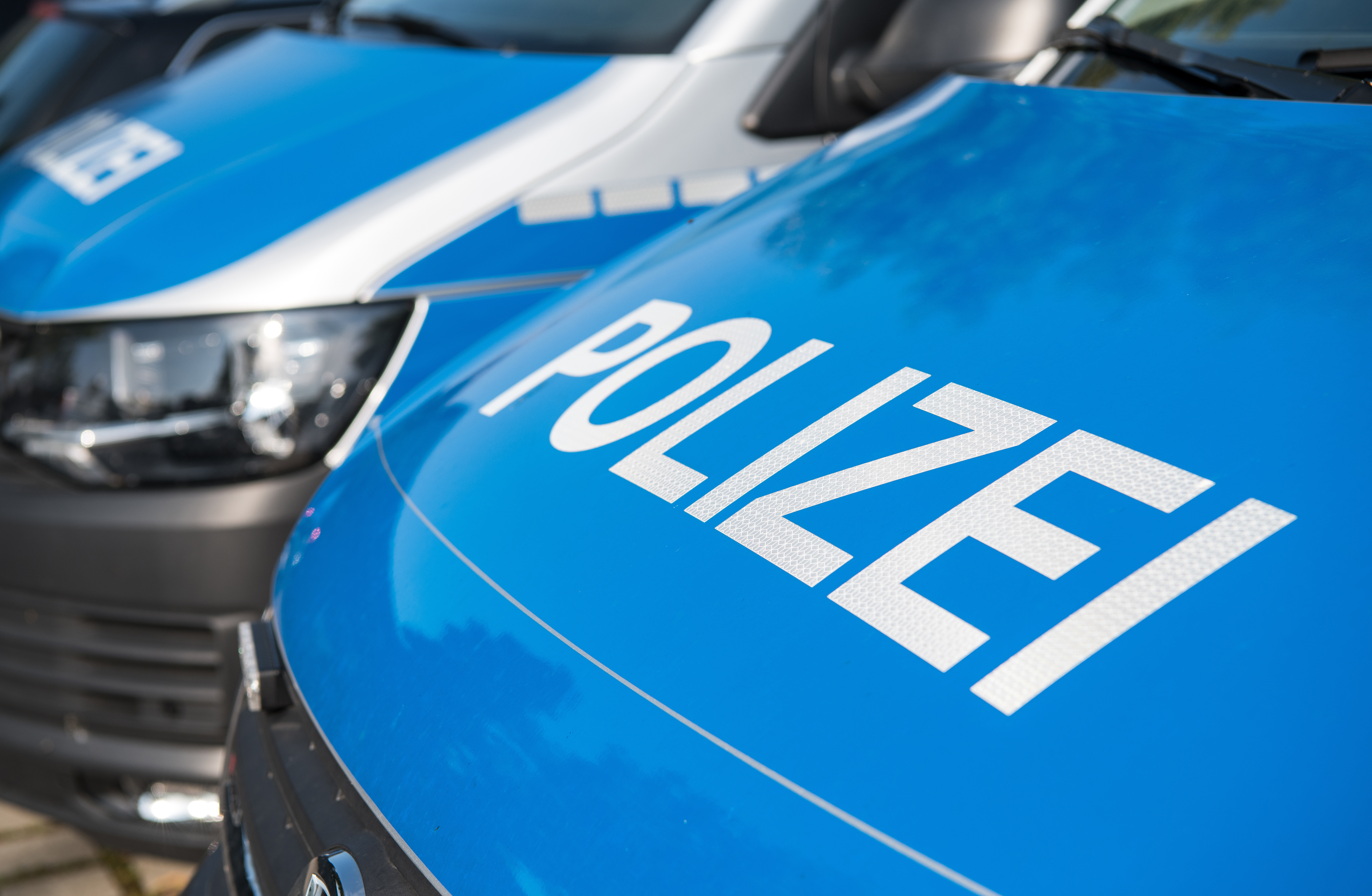 Activity-Park wächst weiter